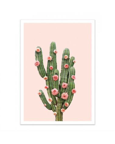 Affiche d'art WE 30 x 40 cm - Cactus and Roses - Paul Fuentes
